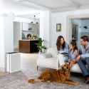 Levoit EverestAir SMART Inteligentní čistička vzduchu