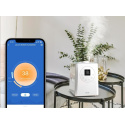 Levoit LV600S SMART Zvlhčovač vzduchu 6L